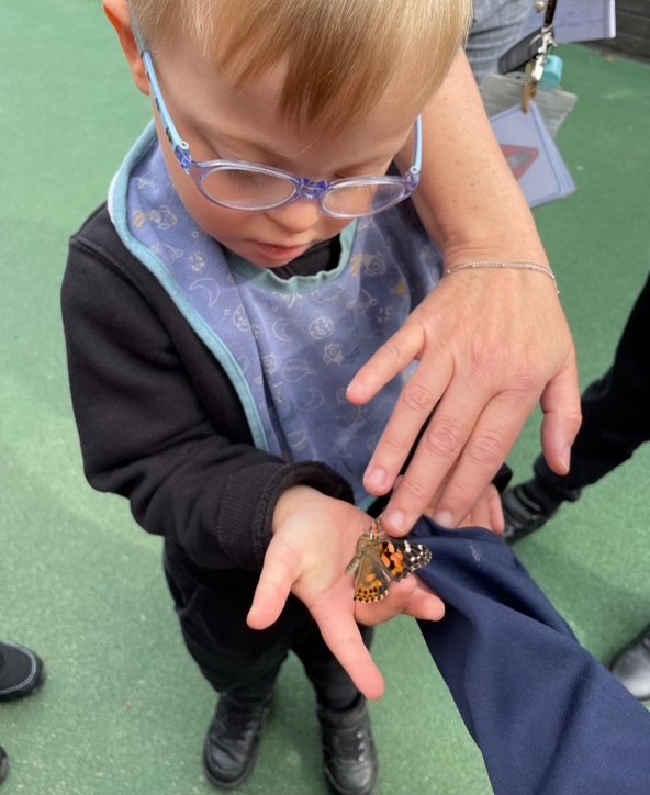 A young boy with glasses carefully watching a painted lady butterfly land on his hand