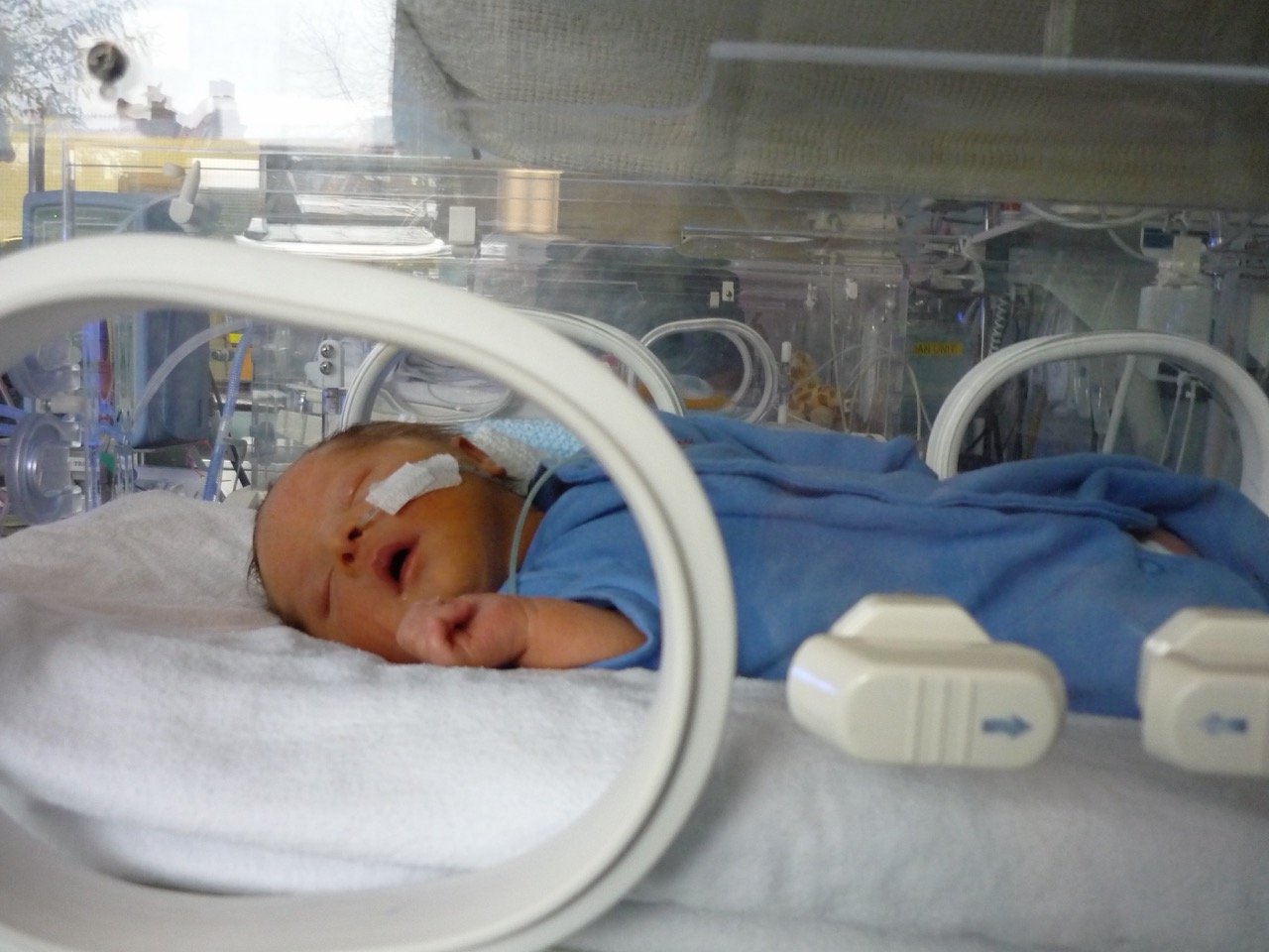 A newborn baby resting peacefully in a hospital incubator